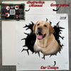 Unboxing view of the clear vinyl lab decal safely enclosed inside its product package.