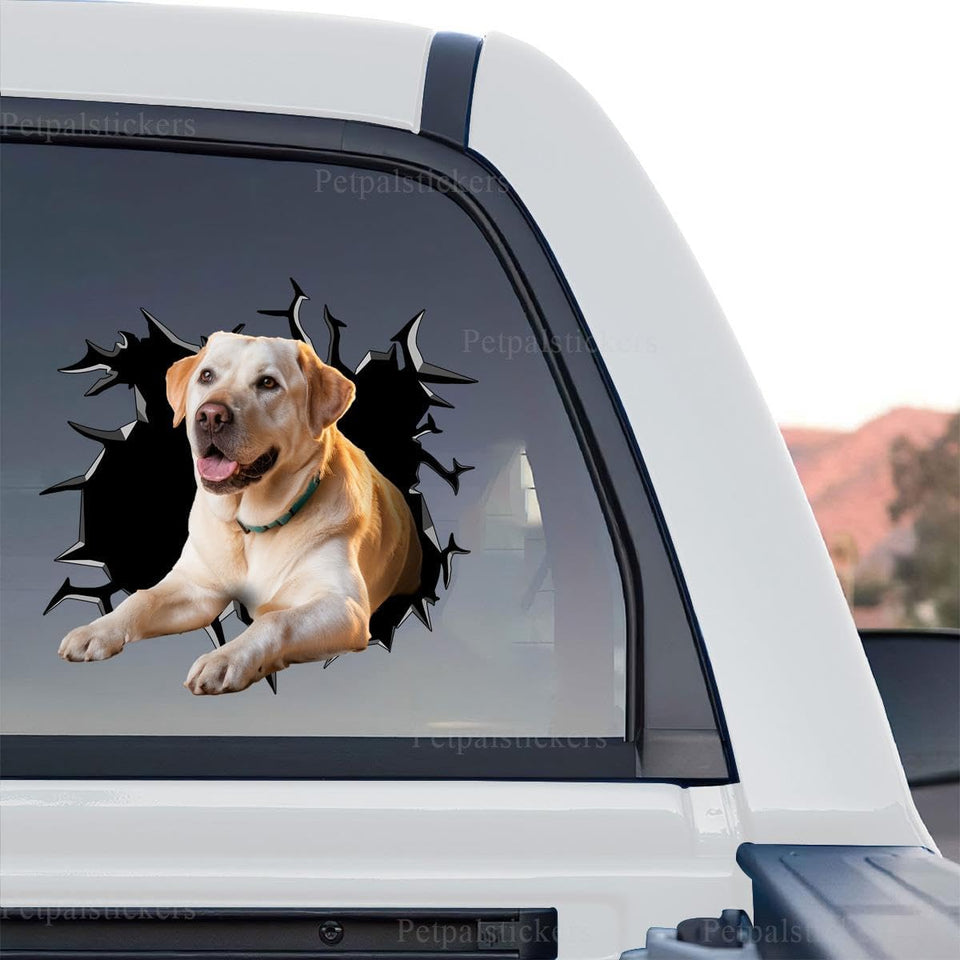 Vibrant Yellow Lab decal graphic artwork presented in a standalone product design format.