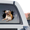 Vibrant Yellow Lab decal graphic artwork presented in a standalone product design format.
