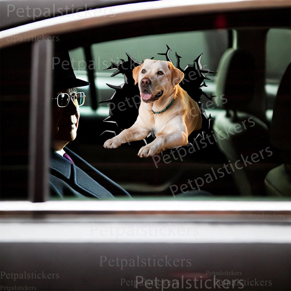 Glossy Yellow Lab vinyl sticker displayed cleanly on a smooth white car door panel.