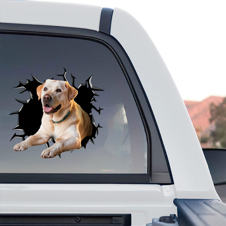 Weatherproof Yellow Lab graphic decal applied to the exterior rear window of a truck.