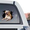 Weatherproof Yellow Lab graphic decal applied to the exterior rear window of a truck.