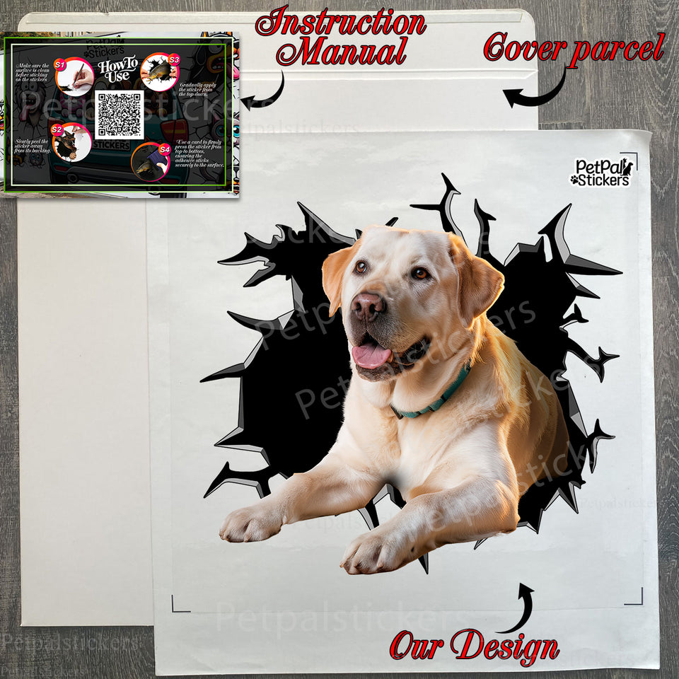 Unboxed Yellow Lab decal lying flat beside its secure shipping package and guide.