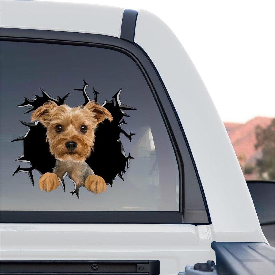 Vibrant Yorkie graphic decal artwork featured as a standalone product design on a transparent background.