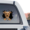 Adorable Yorkie dog window decal displayed proudly on the back glass of a truck outdoors.