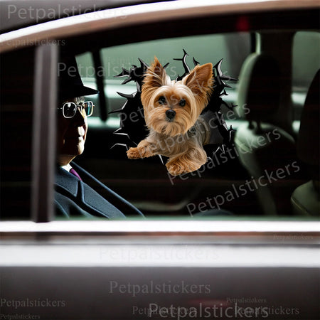 Humorous Yorkie dog sticker placed on a white ceramic toilet lid for home decor.