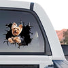 Standalone product design featuring an adorable Yorkie graphic decal for pet lovers.