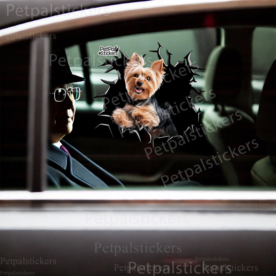 Charming Yorkie decal smoothly applied to a white car door exterior.