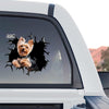 Detailed Yorkie dog graphic decal displayed on the back window of a truck.