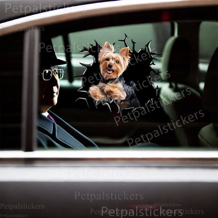 Humorous Yorkie dog sticker placed decoratively on a smooth white toilet lid.