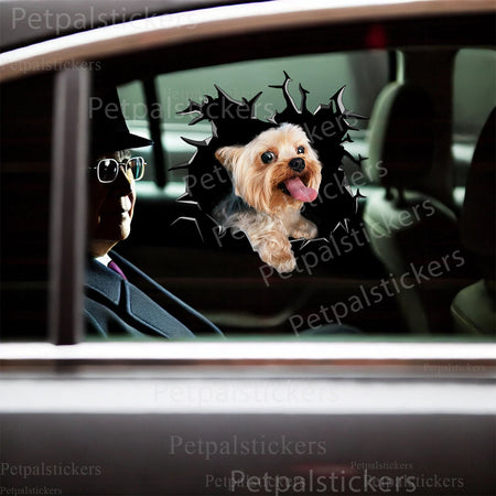 Waterproof glossy Yorkie  For decal placed on the smooth surface of a porcelain toilet.