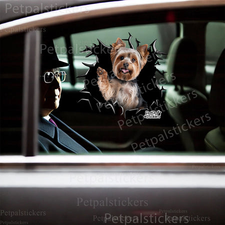 Playful Yorkshire Terrier sticker attached securely to the flat ceramic lid of a home toilet.