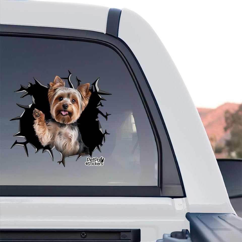 Vibrant Yorkshire Terrier decal displayed on the rear window of a truck parked outdoors.