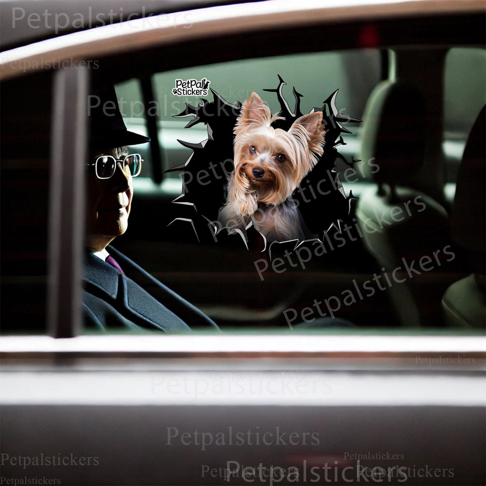 Detailed Yorkshire Terrier vinyl sticker displayed cleanly on a white car door surface.