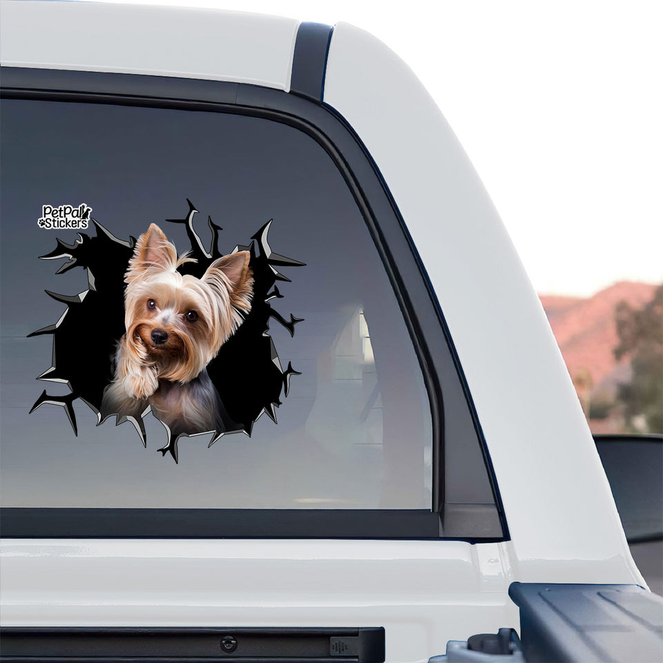 Charming Yorkshire Terrier window decal adhered to the rear glass of a truck.
