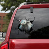[sk0882-snf-ptd]-elephant-crack-car-sticker-animals-lover