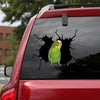 Parrot Crack Decal For Boat Cuteness Overloaded Custom Made Stickers Push Gift - General die-cut waterproof vinyl sticker decal