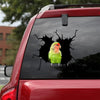 Parrot Crack Bumper Sticker Your Cute Clear Labels Christmas Gifts 2022 - General die-cut waterproof vinyl sticker decal