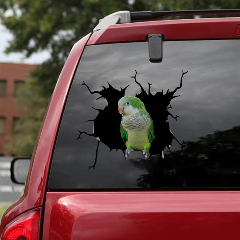 [bv0020-snf-tnt]-parrot-crack-sticker-birds-lover