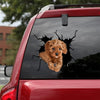 Poodie Crack Decal For Car Window Cool Custom Car Decals Fathers Day Ideas - General die-cut waterproof vinyl sticker decal