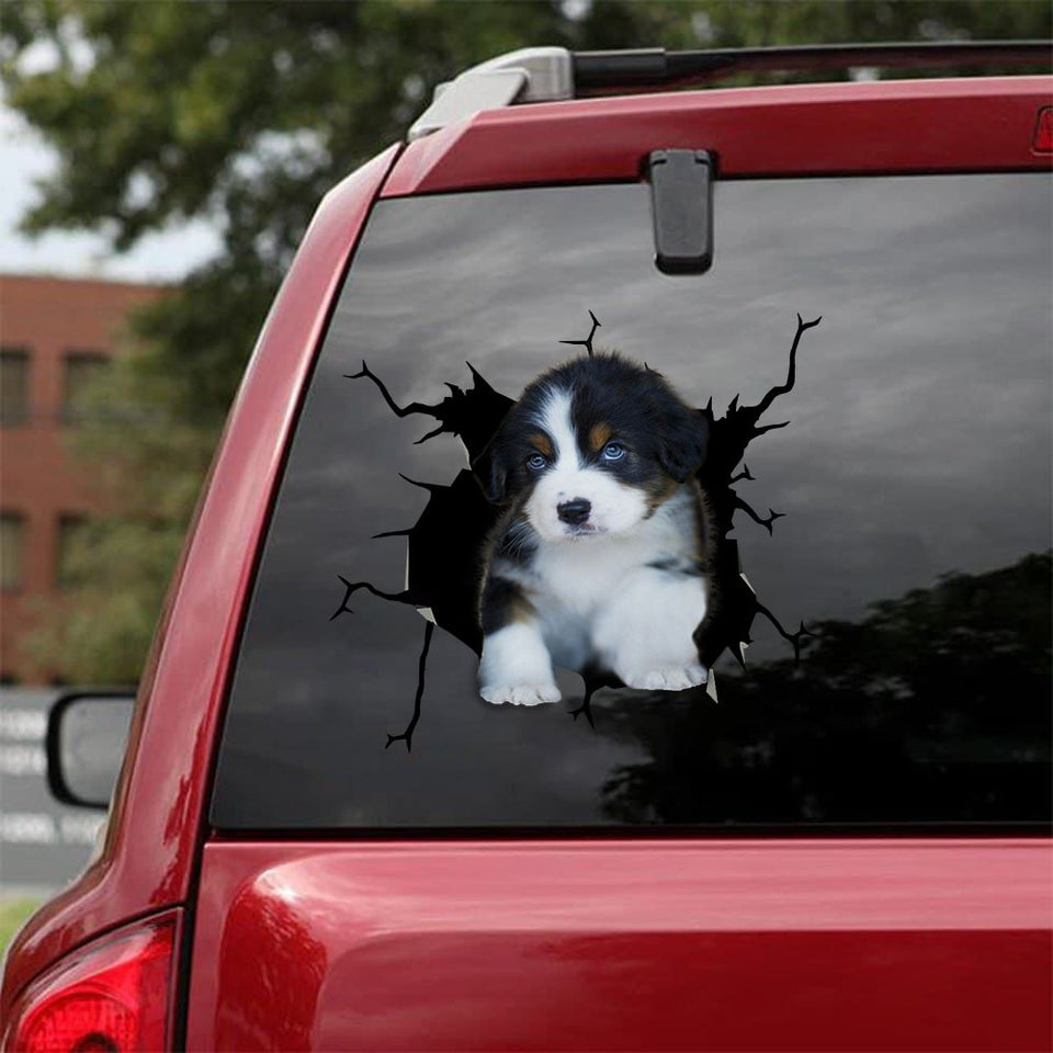 Poodie Crack Decal Car Pretty Clear Labels Gifts For Boss - General die-cut waterproof vinyl sticker decal