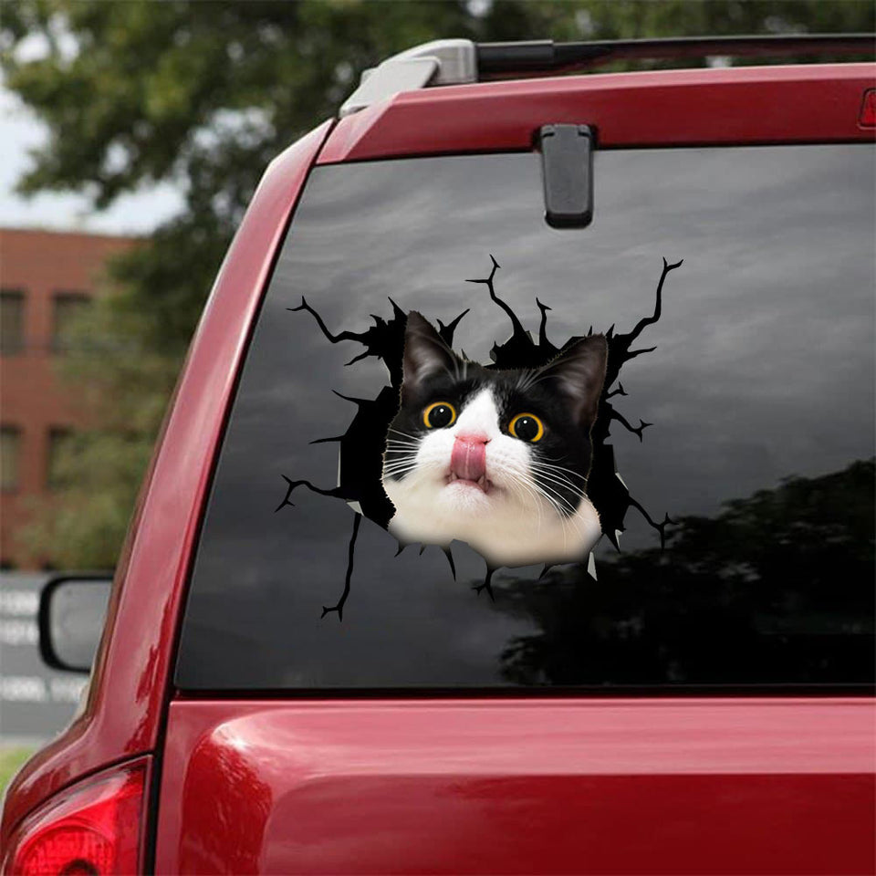 [bv0011-snf-ptd]-tuxedo-cat-crack-sticker-cats-lover