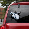 [th0095-snf-tpa]-moose-crack-car-sticker-hunting-lover