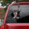 [th0569-snf-tpa]-chihuahua-crack-car-sticker-dogs-lover