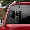 [sk1184-snf-ptd]-shorthorn-cow-crack-sticker-cattle-lover