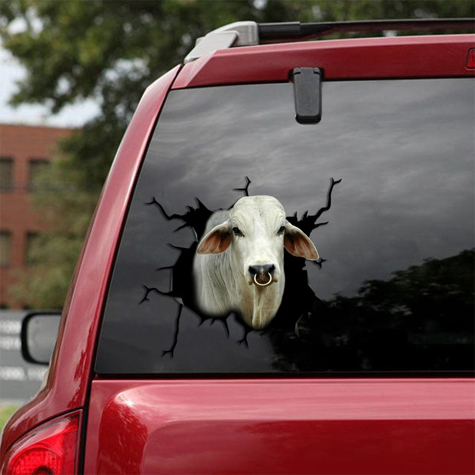 [sk1178-snf-tpa]-brahman-cow-crack-sticker-cattle-lover
