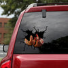 [sk1249-snf-tpa]-chicken-crack-sticker-poultry-lover