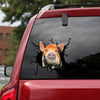 [sk1230-snf-tpa]-pig-crack-sticker-cattle-lover