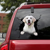 Labrador Crack Decal For Car Window Cute A Custom Vinyl Lettering Craft Kits For Adults - Dog Lovers die-cut waterproof vinyl sticker decal