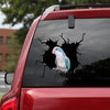 Parrot Crack Decals For Windows Lovable Logo Stickers Father's Day Gifts - Wildlife & Nature die-cut waterproof vinyl sticker decal