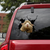 [sk1317-snf-lad]-dorset-sheep-crack-sticker-cattle-lover
