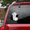 [sk1381-snf-tpa]-alpaca-crack-sticker-animals-lover