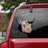 [sk1950-snf-tpa]-kangaroo-crack-car-sticker-animals-lover