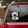 [sk1390-snf-tpa]-turkish-van-crack-sticker-cats-lover