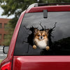 Chihuahua Crack Stickers For Scrapbooking Funny Pictures Vinyl Letter Stickers Birthday Gifts For Men - Dog Lovers die-cut waterproof vinyl sticker decal