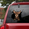Chihuahua Crack Bone Sticker Super Cute Car Sticker Anniversary Gifts For Her - custom sticker applied on car truck window preview