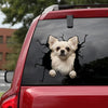 Chihuahua Crack Car Decal Custom The Cutest Decals Stickers Christmas Gifts For Wife - Dog Lovers die-cut waterproof vinyl sticker decal