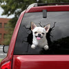 Chihuahua Crack Decal Ideas Fun Custom Wall Stickers Funny Gifts For Men - Dog Lovers die-cut waterproof vinyl sticker decal