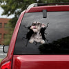 [th0580-snf-tpa]-schnauzer-crack-car-sticker-dogs-lover