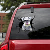 [th0582-snf-tpa]-schnauzer-crack-car-sticker-dogs-lover