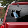 Blue Parrotlet Crack Decal Sticker Car Funny Pictures Car Window Stickers Gifts For Wine Lovers - Wildlife & Nature die-cut waterproof vinyl sticker decal