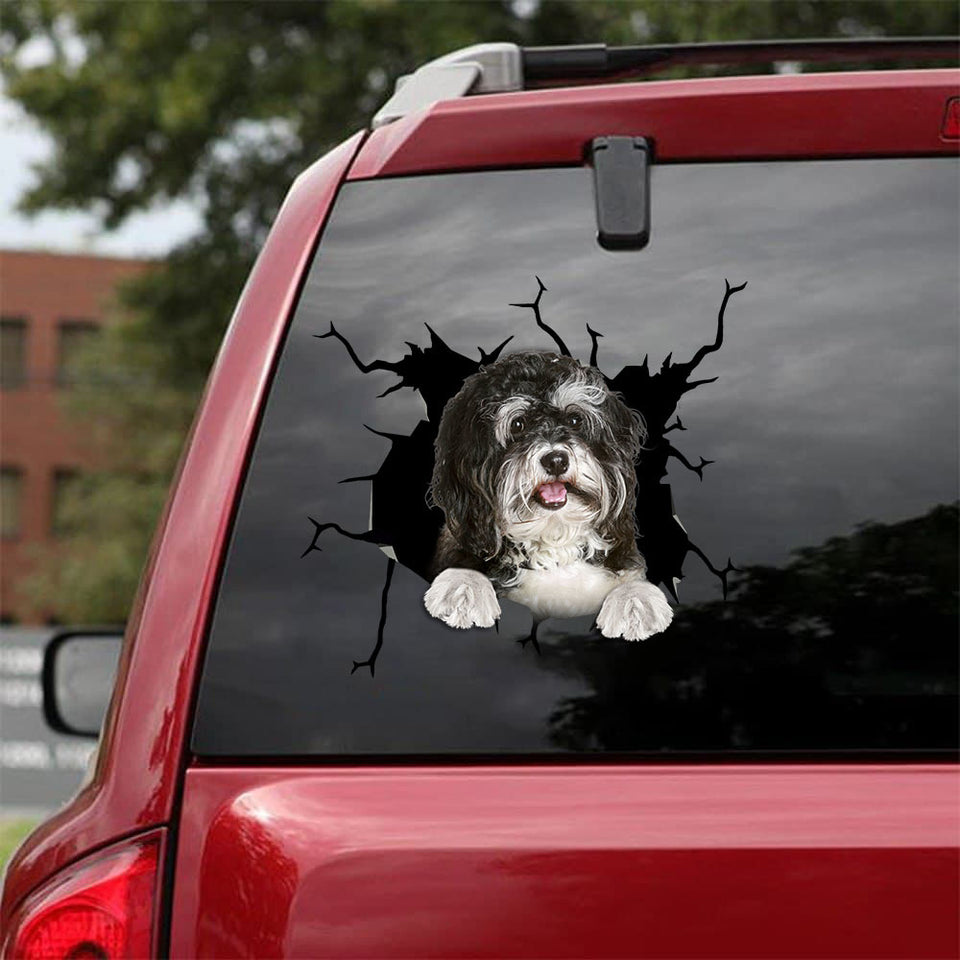 [bv0129-snf-tnt]-shih-tzu-crack-car-sticker-dogs-lover