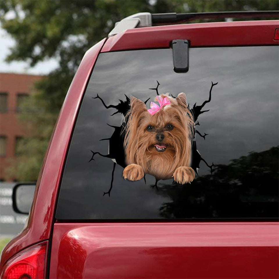 [bv0137-snf-tnt]-yorkshire-crack-car-sticker-dogs-lover