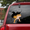 Leopard Gecko Crack Sticker Chart Super Cute Car Bumper Stickers Secret Santa Gift Ideas - Wildlife & Nature die-cut waterproof vinyl sticker decal