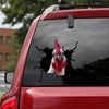 [sk1678-snf-tpa]-chicken-crack-car-sticker-poultry-lover