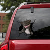 [sk1415-snf-tpa]-pitbull-crack-sticker-dogs-lover